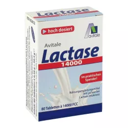 LACTASE 14.000 FCC comprimidos en dispensador, 80 uds