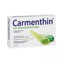 CARMENTHIN Para trastornos digestivos msr. Cápsulas blandas, 14 uds