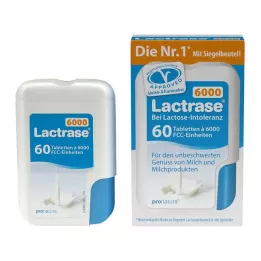 LACTRASE 6.000 FCC comprimidos en dispensador de clic, 60 uds