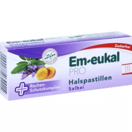 ER EUCAL PRO HALDSPASTILLEN SAGE AZUCK FREE, 30 pz