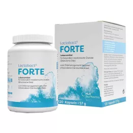 LACTOBACT Cápsulas gastrorresistentes Forte, 120 uds