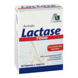 LACTASE 7.000 FCC comprimidos en dispensador, 80 uds