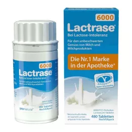 LACTRASE 6.000 FCC Paquete de recambio para dispensador Tbl.Click, 480 uds