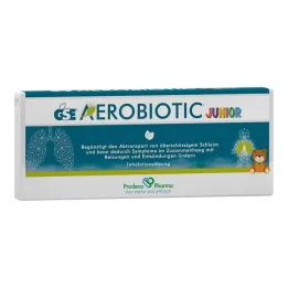 Ampolla monodosis GSE Aerobiotic Junior para solución de inhalación, 10 x 5 ml