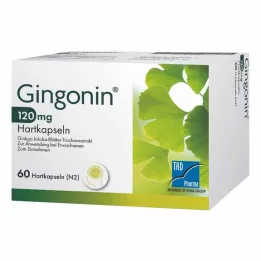 GINGONIN Cápsulas duras de 120 mg, 60 uds
