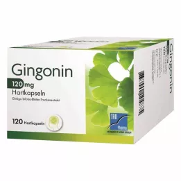 GINGONIN Cápsulas duras de 120 mg, 120 uds