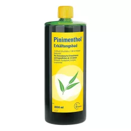 PINIMENTHOL Baño frío a partir de los 12 años, 1000 ml