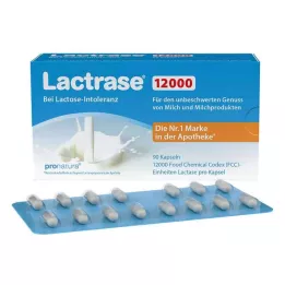 LACTRASE 12.000 FCC cápsulas, 90 uds