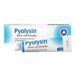 PYOLYSIN Ungüento cicatrizante para heridas, 6 g