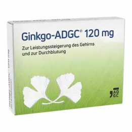 GINKGO ADGC Comprimidos recubiertos con película de 120 mg, 20 uds