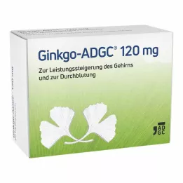 GINKGO ADGC Comprimidos recubiertos con película de 120 mg, 60 uds