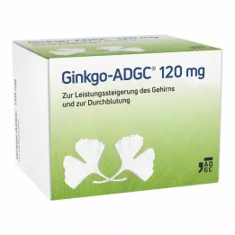 GINKGO ADGC Comprimidos recubiertos con película de 120 mg, 120 uds