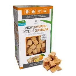 INGWER GINJER Cubitos de jengibre y naranja, 60 g