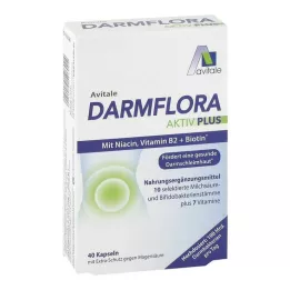 DARMFLORA Aktiv Plus 100 mil millones de bacterias + 7 vitaminas, 40 uds