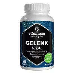 GELENK VITAL cápsulas, 90 uds