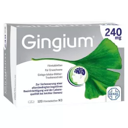 GINGIUM Comprimidos recubiertos con película de 240 mg, 120 uds