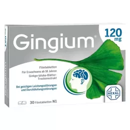 GINGIUM Comprimidos recubiertos con película de 120 mg, 30 uds