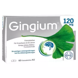 GINGIUM Comprimidos recubiertos con película de 120 mg, 60 uds