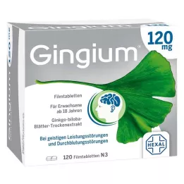 GINGIUM Comprimidos recubiertos con película de 120 mg, 120 uds