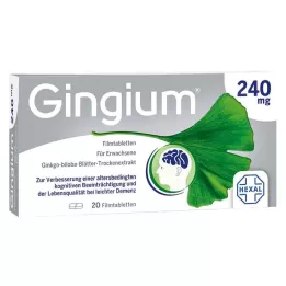 GINGIUM Comprimidos recubiertos con película de 240 mg, 20 uds