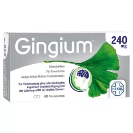 GINGIUM Comprimidos recubiertos con película de 240 mg, 40 uds