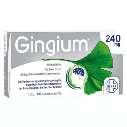 GINGIUM Comprimidos recubiertos con película de 240 mg, 60 uds