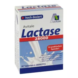 LACTASE 28.000 FCC comprimidos en dispensador, 80 uds