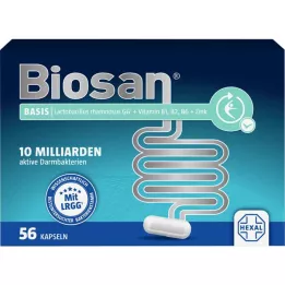 Base de biosan, 56 pz