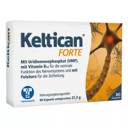 KELTICAN cápsulas forte, 80 uds