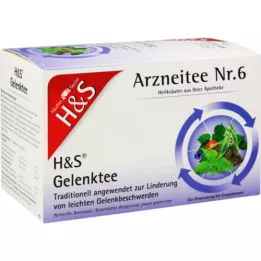 H&amp;S Bolsa de filtro de té principal, 20x2.0 g