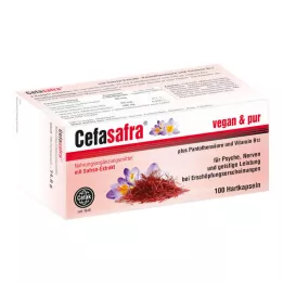 CEFASAFRA Cápsulas duras, 100 uds