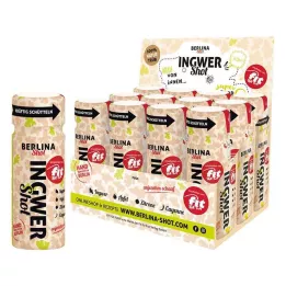 Berlina Ginger Shot Botking Pads, 12x60 ml
