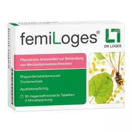 FEMILOGES Comprimidos gastrorresistentes, 90 uds