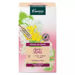 Kneipp Té de hierbas después de comer, 20 pz