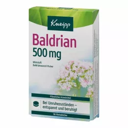 KNEIPP Valeriana 500 mg comprimidos recubiertos con película, 90 piezas