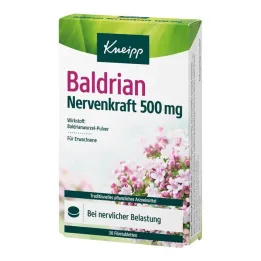 Kneipp Valerian Nerve Power 500 mg tabletas recubiertas de película, 30 st
