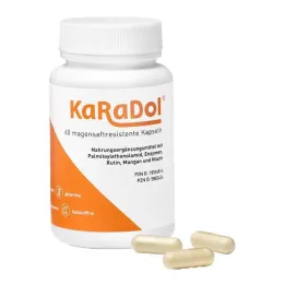 Cápsulas gastrorresistentes Karadol, 60 piezas