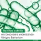 Cápsulas de bioticloges subtilis, 15 piezas